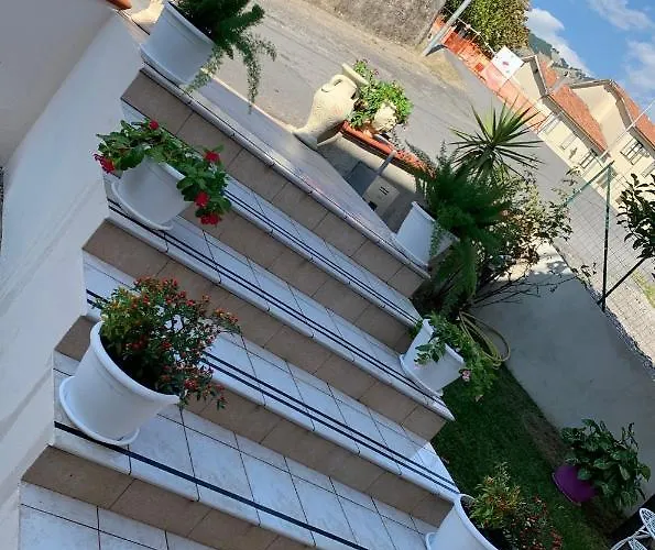 Pignataro 住宿加早餐酒店 3*